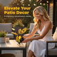 🐝 50% OFF NOW! ☀️ Outdoor Hanging Solar Bee Light – Charming garden decor, auto-on at dusk – Perfect gift for plant lovers, moms or anyone who smiles ❤️🌿✨