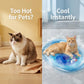 🐱 50% OFF NOW! 💧 Inflatable Cooling Water Bed for Cats – Chill & comfy – Keeps paws & belly cool, non-slip base – perfect for hot summer naps 🌞🐾✨