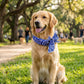 🐾 BUY 1 GET 1 FREE! 🎁 Summer Pet Cooling Collar Wrap – Ice-silk fabric, reusable & no electricity – Keeps your dog or cat cool outdoors – perfect for walks or hot days 🐶☀️✨