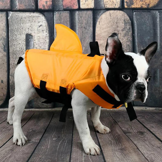 🐶 60% OFF NOW! 🦈 Adjustable Shark-Shaped Dog Life Vest – Bright colour & reflective trim – Buoyant & secure – perfect for pool, beach or boating – fun and safe 🌊✨