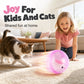 🐱 50% OFF NOW! 🎾 Interactive Plush Animal Rolling Ball – Automatic motion, plush cover & LED lights – Keeps pets active & entertained for hours ✨