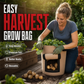🌱 50% OFF NOW! 🧺 Thickened Grow Bag with Handle – Durable & breathable – Perfect for potatoes, tomatoes or flowers – reusable and easy to move 🍅✨