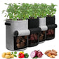 🌱 50% OFF NOW! 🧺 Thickened Grow Bag with Handle – Durable & breathable – Perfect for potatoes, tomatoes or flowers – reusable and easy to move 🍅✨