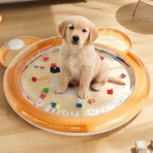 🐾 50% OFF NOW! ⏰ Non-Slip Cooling Splash Pet Mat – Keeps paws & bowls cool – Ideal for hot days – easy to clean, perfect for food or water spills 💧🐶✨