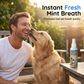 🦷 BUY 1 GET 1 FREE! 🐾 No-Brush Pet Dental Spray – Freshens breath & reduces plaque – Easy to use, no brushing needed – safe for dogs and cats ✨🐶🐱