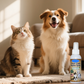 🦷 BUY 1 GET 1 FREE! 🐾 No-Brush Pet Dental Spray – Freshens breath & reduces plaque – Easy to use, no brushing needed – safe for dogs and cats ✨🐶🐱