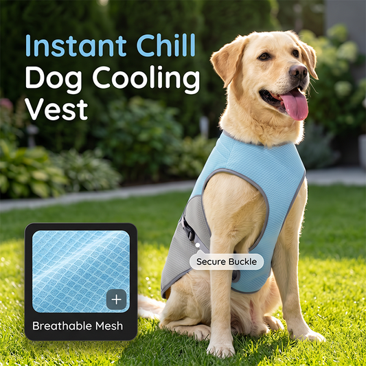 🐶 60% OFF NOW! ☀️ Dog Cooling Vest Harness – Ice-silk fabric & adjustable – Keeps your pet cool in summer – perfect for walks, beach or travel 🐾🌊✨