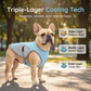 🐶 60% OFF NOW! ☀️ Dog Cooling Vest Harness – Ice-silk fabric & adjustable – Keeps your pet cool in summer – perfect for walks, beach or travel 🐾🌊✨