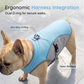 🐶 60% OFF NOW! ☀️ Dog Cooling Vest Harness – Ice-silk fabric & adjustable – Keeps your pet cool in summer – perfect for walks, beach or travel 🐾🌊✨