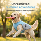 🐶 60% OFF NOW! ☀️ Dog Cooling Vest Harness – Ice-silk fabric & adjustable – Keeps your pet cool in summer – perfect for walks, beach or travel 🐾🌊✨