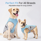 🐶 60% OFF NOW! ☀️ Dog Cooling Vest Harness – Ice-silk fabric & adjustable – Keeps your pet cool in summer – perfect for walks, beach or travel 🐾🌊✨