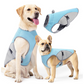 🐶 60% OFF NOW! ☀️ Dog Cooling Vest Harness – Ice-silk fabric & adjustable – Keeps your pet cool in summer – perfect for walks, beach or travel 🐾🌊✨