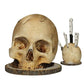 🔪 50% OFF NOW! 💀 Creative Skull Resin Knife Holder – Unique & durable design – Perfect for kitchen, study or gothic decor – holds knives securely and stylishly 🖤🍴✨