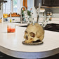 🔪 50% OFF NOW! 💀 Creative Skull Resin Knife Holder – Unique & durable design – Perfect for kitchen, study or gothic decor – holds knives securely and stylishly 🖤🍴✨