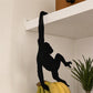 🐒 50% OFF NOW! 🍌 Monkey Shaped Banana Hook – Fun design, sturdy & space-saving – Perfect for hanging bananas, bags or kitchen tools ✨