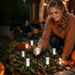 💡 50% OFF NOW! ☀️ Solar Powered Pathway Stake Light – Automatic on/off, weatherproof & warm glow – Perfect for garden paths & driveways 🌿