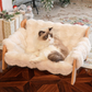 🛋️ 50% OFF! 🐾 Elevated Plush Pet Bed – Wooden frame, washable & sturdy ✨