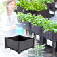 🌱 Save 50%! 🥬 Multifunctional Planting Box – Grow veggies & herbs easily ✨