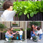 🌱 Save 50%! 🥬 Multifunctional Planting Box – Grow veggies & herbs easily ✨