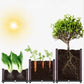 🌱 Save 50%! 🥬 Multifunctional Planting Box – Grow veggies & herbs easily ✨