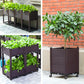 🌱 Save 50%! 🥬 Multifunctional Planting Box – Grow veggies & herbs easily ✨