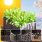 🌱 Save 50%! 🥬 Multifunctional Planting Box – Grow veggies & herbs easily ✨