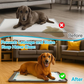 🐾 Save 50%! 🛡️ Silicone Pet Training Mat – Non-slip, leakproof & easy-clean ✨