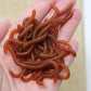 🎣 Save 50%! 🪱 Soft Earthworm Lures – Shrimp scent, 50/100 pack ✨