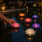 🪷 Save 50%! 💡 Floating Lotus Lights – Waterproof, LED & pond-ready ✨