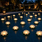 🪷 Save 50%! 💡 Floating Lotus Lights – Waterproof, LED & pond-ready ✨