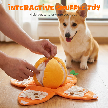 🧸 Save 50%! 🍊 Orange Plush Dog Toy – Hide & seek fun ✨