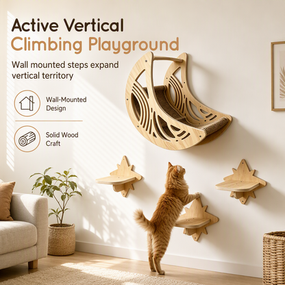 🐾 Save 50%! 🪵 Wooden Cat Climbing Frame – Wall-mounted, with house & steps ✨