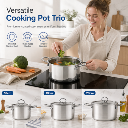 🍲 Save 50%! 🔥 Borosilicate Glass Pot – Heat-resistant, clear & double handles ✨