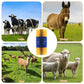 🐄 Save 50%! 🧼 Livestock Grooming Brush – Full massage & scratching comfort ✨