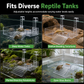 🐢 Save 50%! 🪟 Hanging Turtle Basking Platform – Adjustable & high-level tank ready ✨