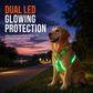 🐕 50% OFF! 💡 LED Dog Harness – Luminous, flashing & adjustable fit ✨