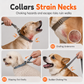 🐕 50% OFF! 🦺 Escape-Proof Dog Harness & Leash Set – Vest style & adjustable ✨
